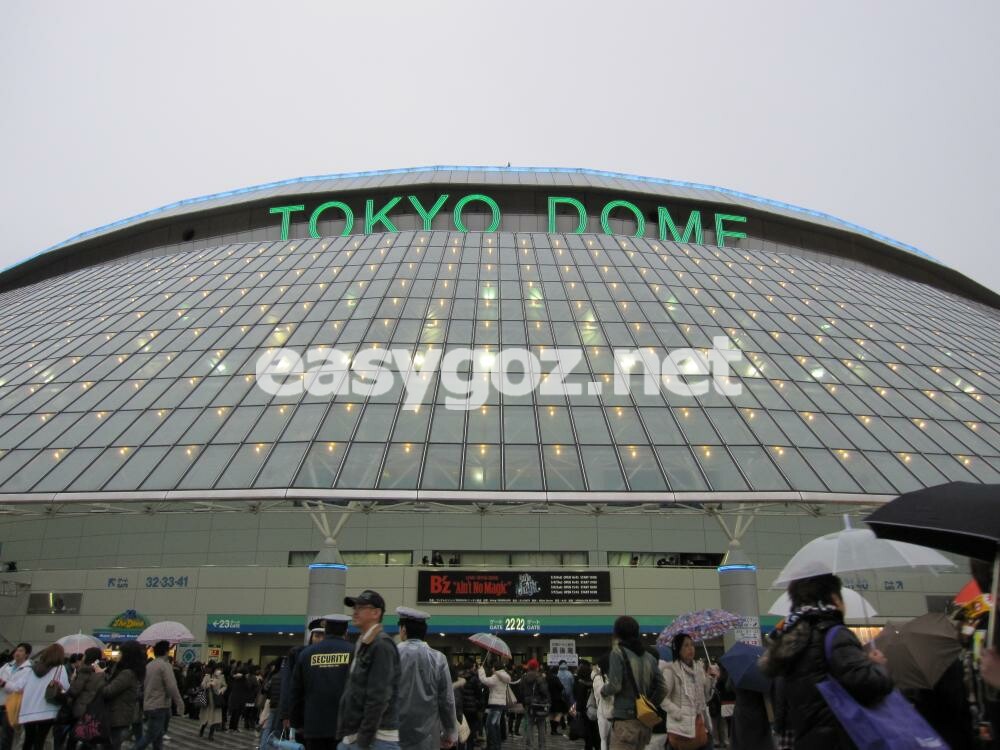 DVD B'z LIVE-GYM 2010'Ain't No Magic'at TOKYO DOME - DVD